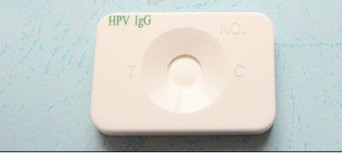 Virus rapide Hpv de Kit Medical Diagnostic Human Papilloma d'essai d'antigène d'OIN