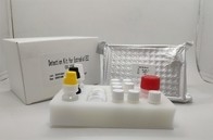 Antigène de noyau d'Igg Elisa Kit For Hepatitis B d'essai de diagnose du plasma de sérum