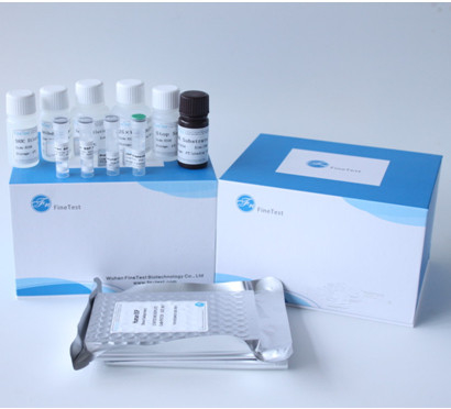 Utilisation bonne d'Elisa Test Kit Plate Human de réactif de HBeAb du plasma 96 de sérum