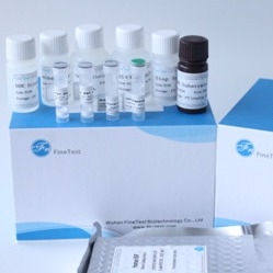 Facteur de stimulation de colonie de macrophage M-CSF ELISA Kit approuvée par le FDA