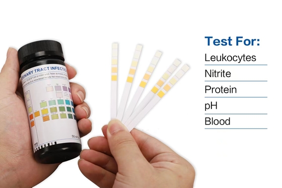 Les bandes MSDS de l'urine pH de protéine de glucose ont approuvé