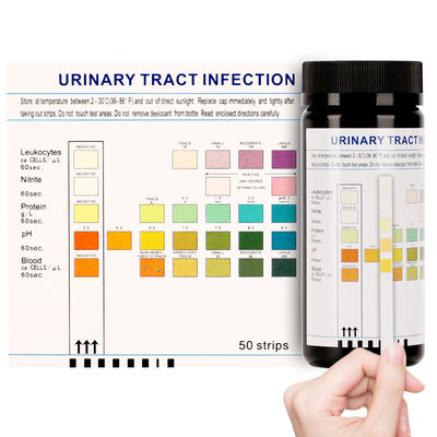 Bandes d'essai précises d'infection urinaire d'Invbio 50 bandes/bouteille