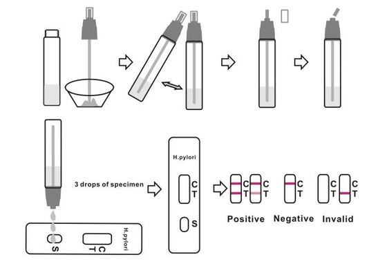Maladies infectieuses H Pylori Kit de test de selles Helicobacter Pylori Antigen Instantané