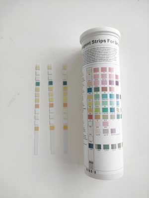 Bandes d'essai d'analyse d'urine de FSC 10 bandes du paramètre 100/bouteille
