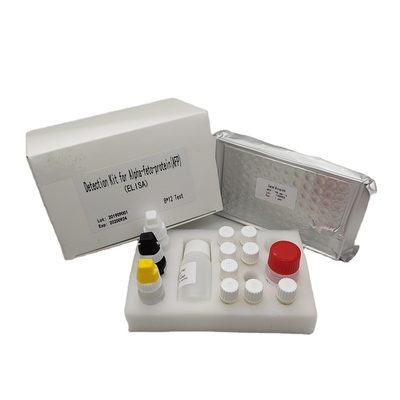 Alpha Fetoprotein Elisa Detection Kit quantitative AFP en sérum humain
