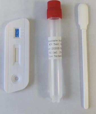 Salive rapide d'anticorps de virus de l'hépatite C d'examen de diagnostic d'étape de FSC un